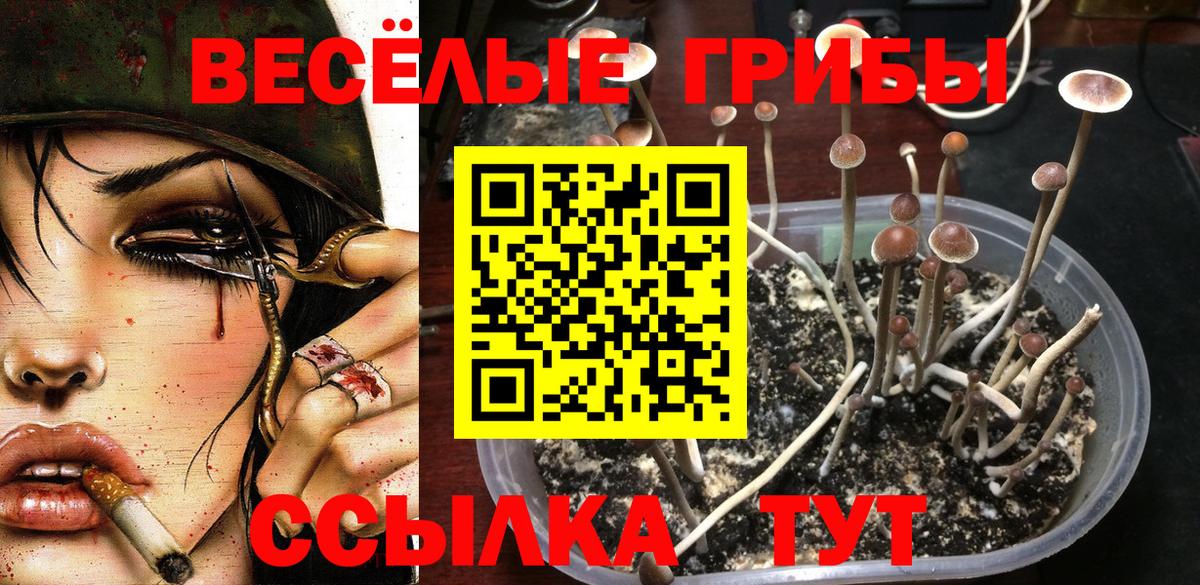 Псилоцибиновые грибы мицелий  Галлюциногенные грибы ЛСД  Вход с VPN  Кизилюрт 
