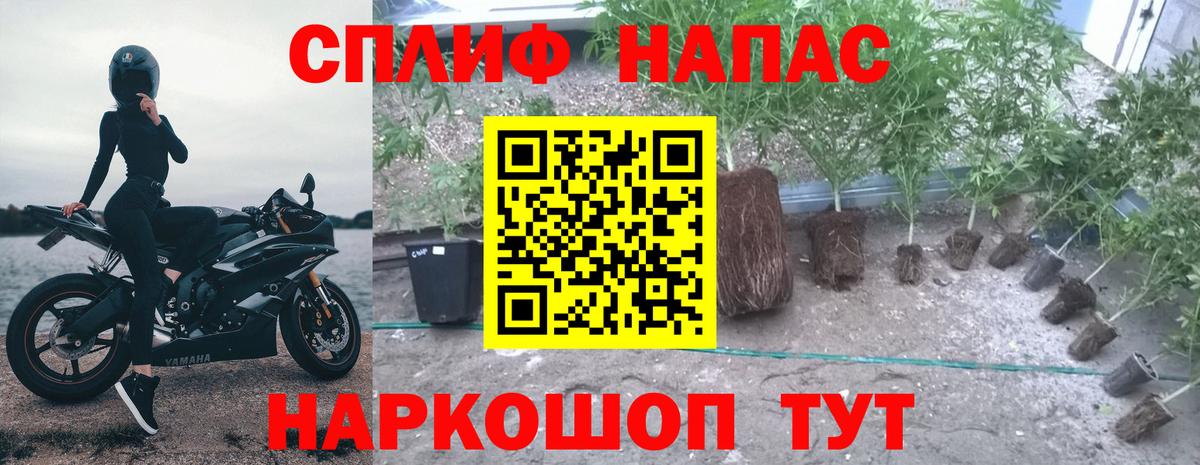 Конопля марихуана  Вход с VPN  Бошки марихуана AK-47  Конопля White Widow  Кизилюрт  Каннабис индика 